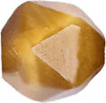 Golden Tiger's Eye Freeform 10mm