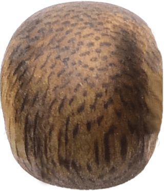 Kynam Agarwood Apple Bead 8.1mm